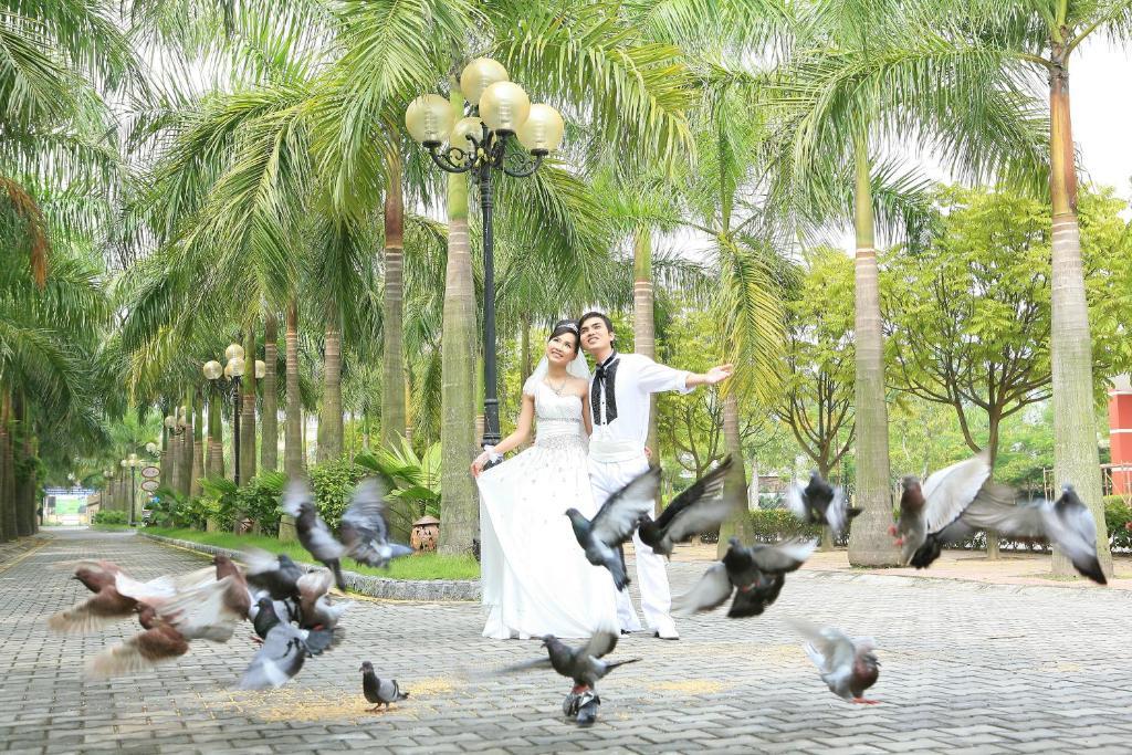 Camela Hotel & Resort Хайфон Экстерьер фото